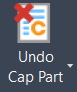 en_cap_icon2.png